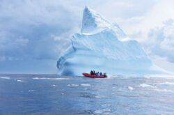 What to See and Do at the Iceberg Festival Newfoundland