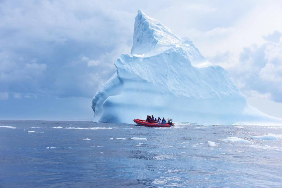 20 Things to Do During Iceberg Festival in Newfoundland