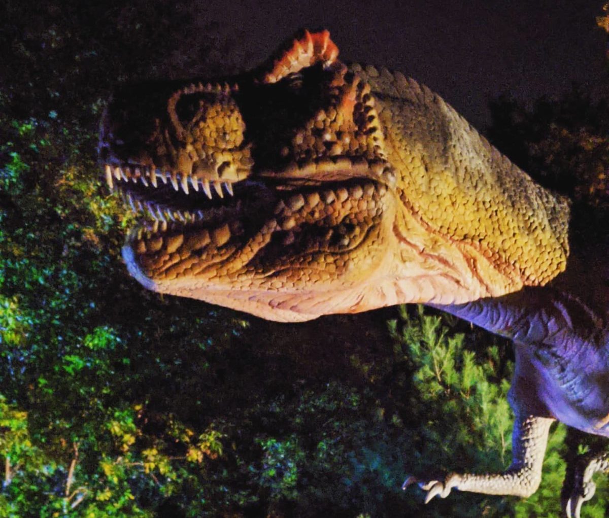 Halloween Drive Thru at Indian River Reptile & Dinosaur Park