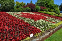 Must Visit Places in Manitoba