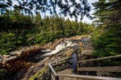 Newfoundland and Labrador Parks See Record-Breaking Surge in Visitors