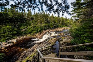 Explore NL Provincial Parks for Free This Labour Day