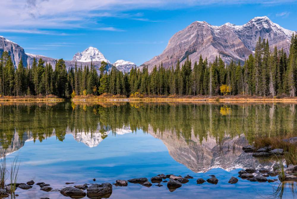 Going Camping Alberta Parks Online Campsite Reservations Open On