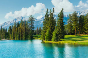 50+ Bucket List Ideas for a Summer Staycation in Alberta