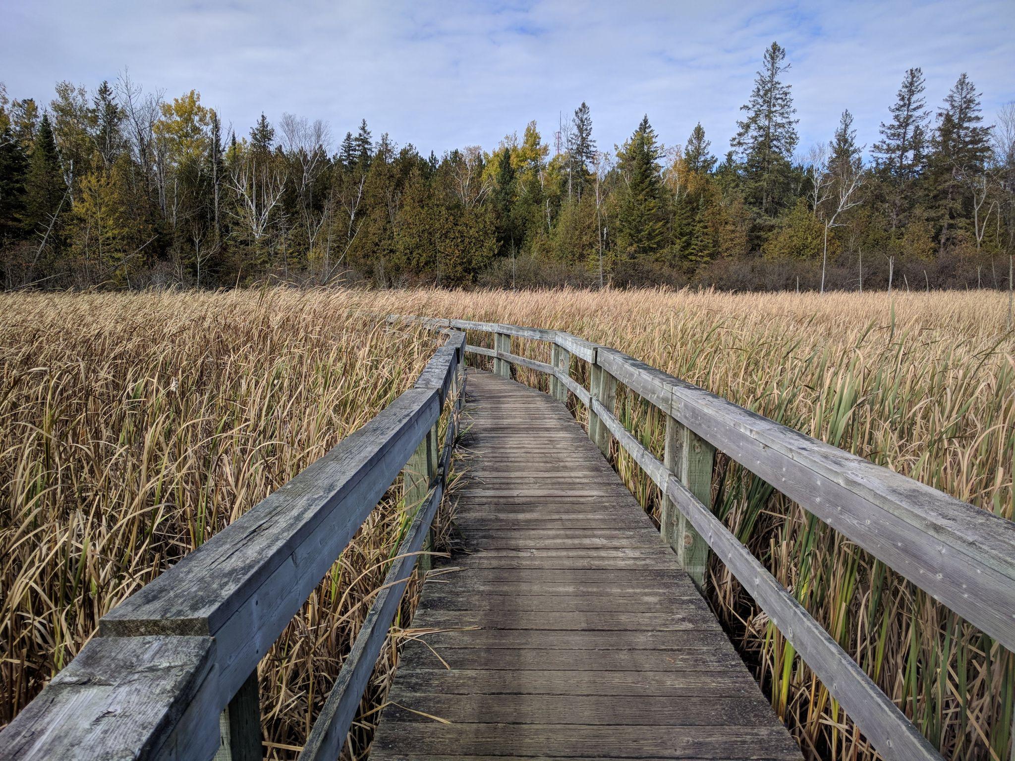 20 Family Hikes and Walks in and Around Ottawa