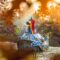 Grande Grouille Fall Festival Featuring Thousands of Lighted Pumpkins to Take Over New Brunswick Botanical Garden This Week
