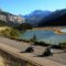 Photo Credit: Tourism Jasper