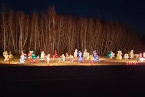 15 Magical Christmas Light Displays in Prince Edward Island