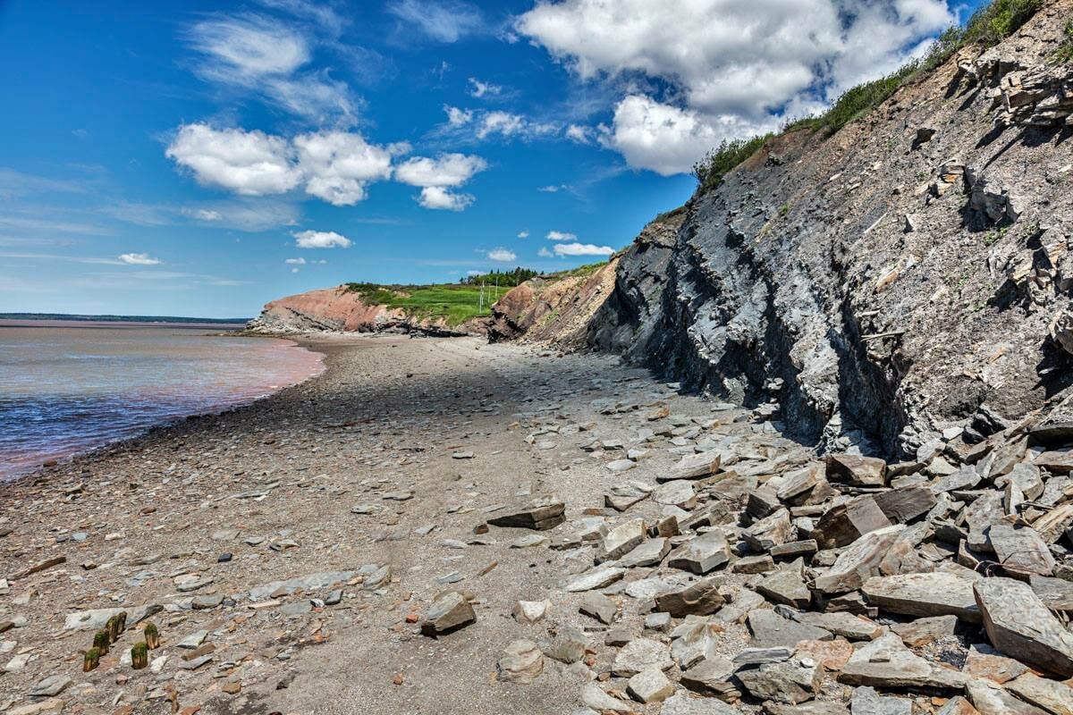 5 Reasons Why You Should Visit Joggins Fossil Cliffs | To Do Canada