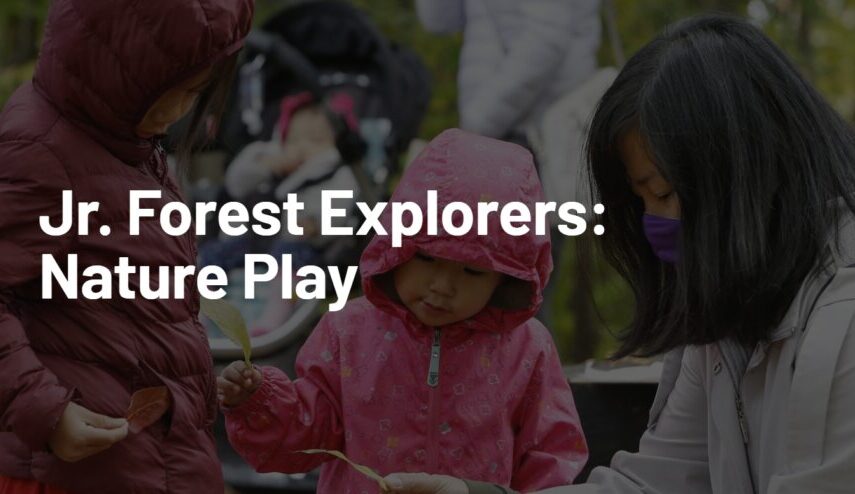Jr. Forest Explorers: Nature Play