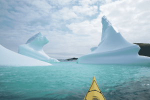 25 Things To Do in June in Newfoundland