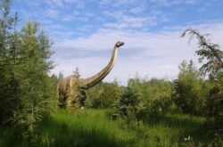 25 Day Trips North of Edmonton