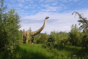 25 Day Trips North of Edmonton