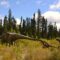Sleep Among Dinosaurs: Things to Do at Alberta's Jurassic Forest When it Reopens For 2026 Season