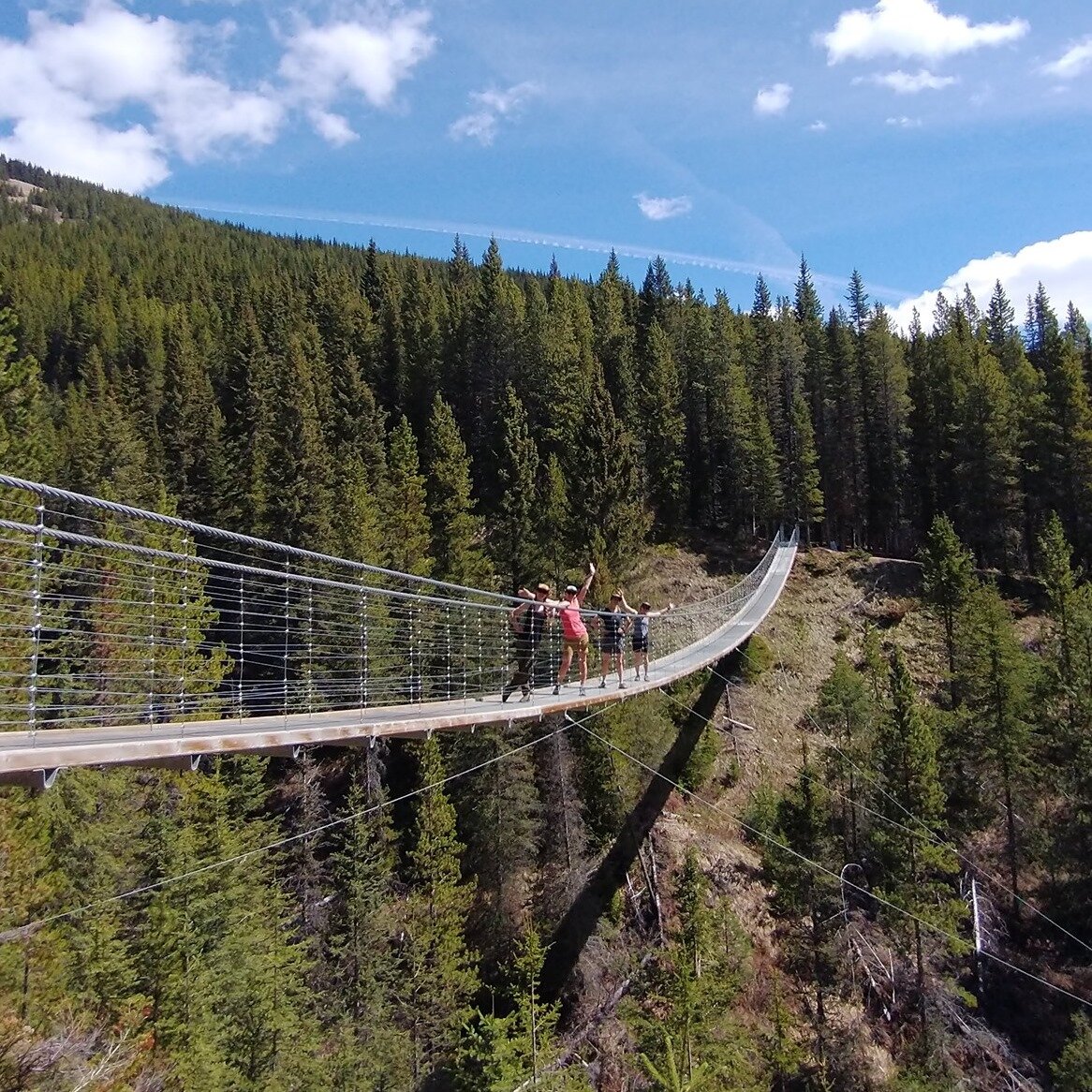 Day Trip From Calgary: Blackshale Suspension Bridge in Kananaskis ...