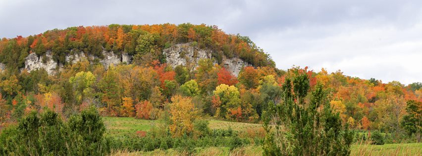 Thanksgiving In Toronto 2021 10 Fun Things To Do During Thanksgiving Weekend In Toronto