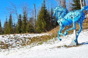 Winter at Haliburton Sculpture Forest
