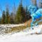 Winter at Haliburton Sculpture Forest