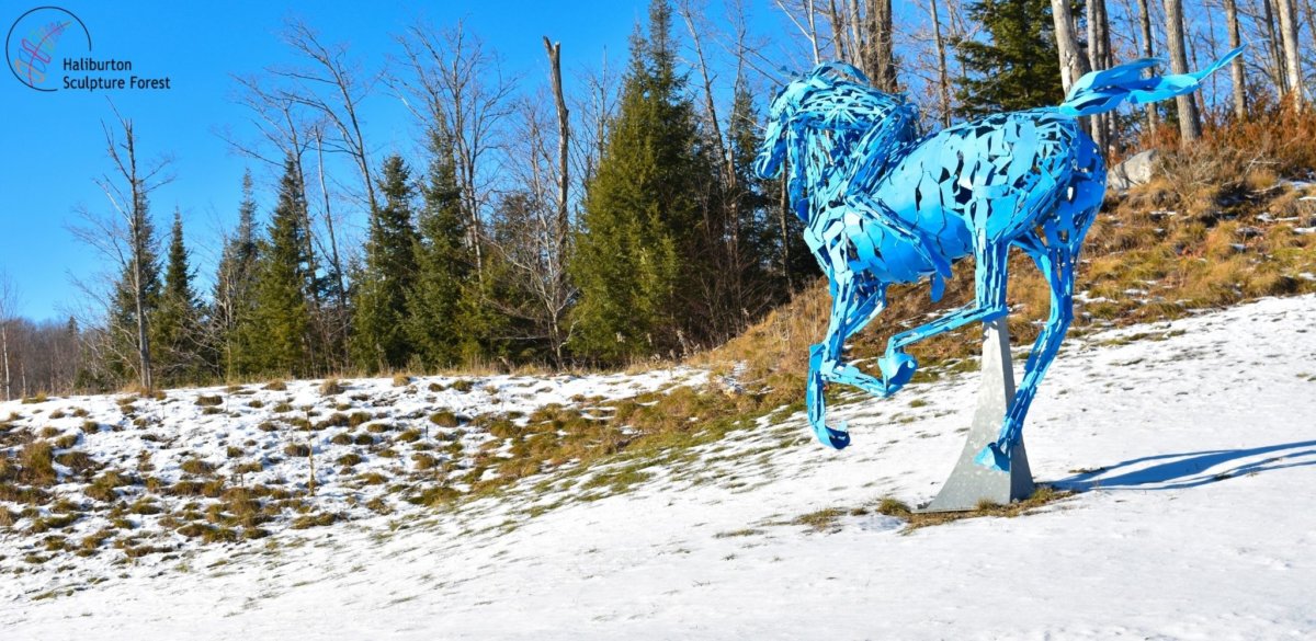 Winter at Haliburton Sculpture Forest