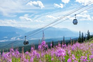 Trip to Golden, B.C: Outdoor Adventures For a Fun Day Out