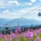 Trip to Golden, B.C: Outdoor Adventures For a Fun Day Out