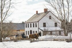 15+ Things to Do This March in New Brunswick 2026