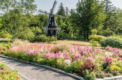 9 Gardens You Should Visit in New Brunswick