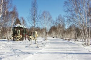 Things to Do During 2025-26 Christmas-Winter Holidays in Sudbury