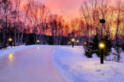 Winter Adventures in Kivi Park: Trails, Snow, and Scenic Beauty at Sudbury’s Secret Winter Destination