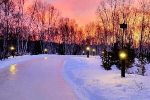 Winter Adventures in Kivi Park: Trails, Snow, and Scenic Beauty at Sudbury’s Secret Winter Destination