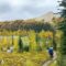 25 Must Do Activities in Kootenay National Park