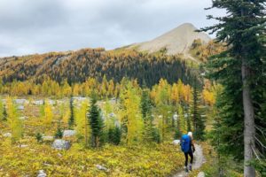 25 Must Do Activities in Kootenay National Park