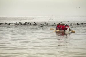 Top 10 Things to Do in Kouchibouguac National Park