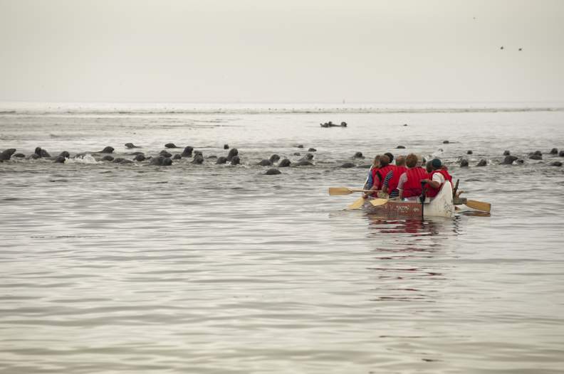 Top 10 Things to Do in Kouchibouguac National Park
