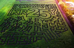 Sunflowers & Corn Maze: Plan a Summer Family Fun Day Trip to Kraay Family Farm in Central Alberta