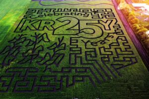 Sunflowers & Corn Maze: Plan a Summer Family Fun Day Trip to Kraay Family Farm in Central Alberta