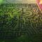 Sunflowers & Corn Maze: Plan a Summer Family Fun Day Trip to Kraay Family Farm in Central Alberta