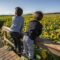 Things to Do in Lacombe This Summer