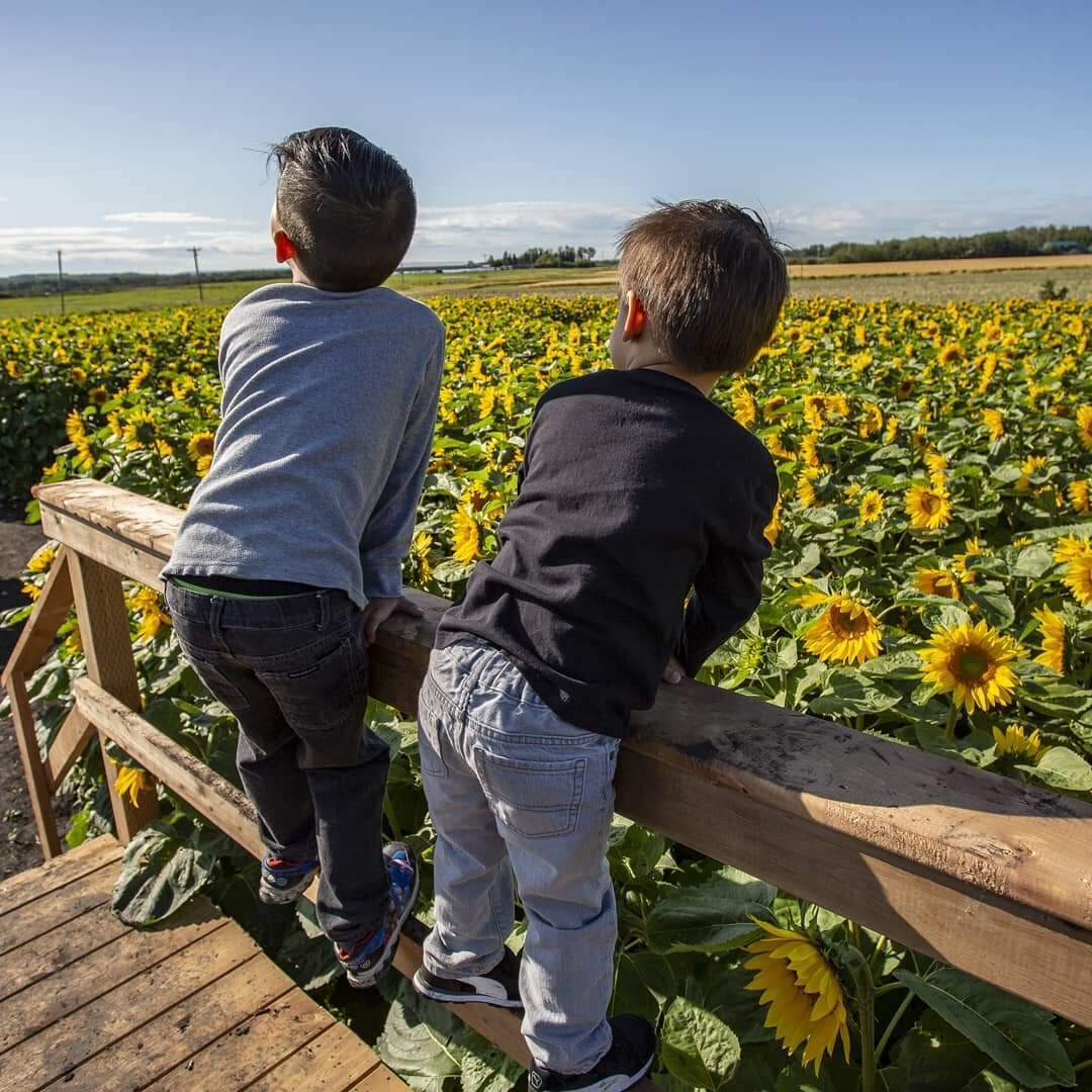 Things to Do in Lacombe This Summer