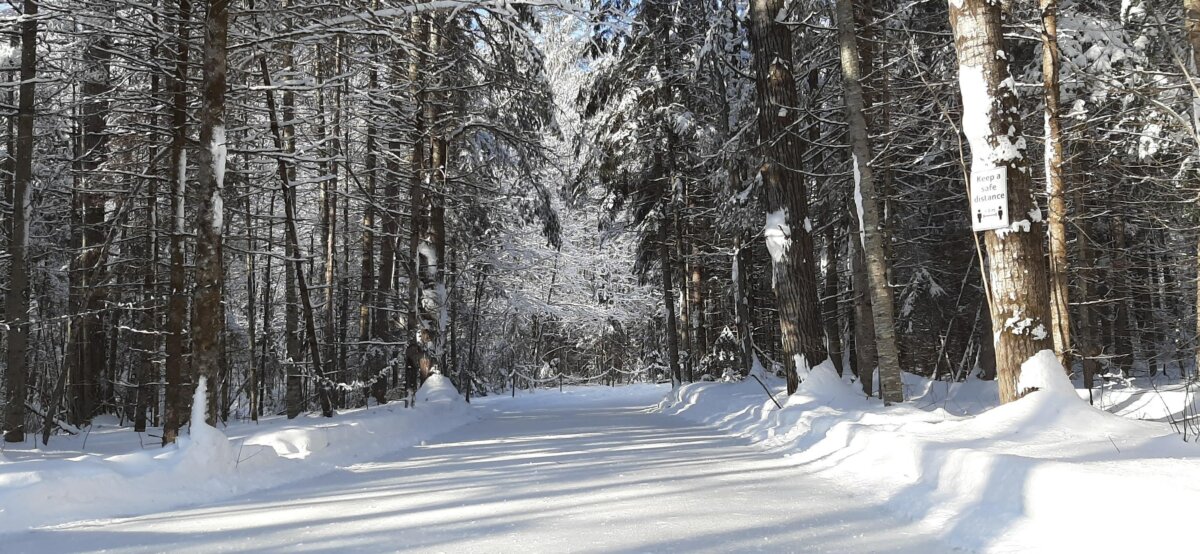 Laurentian Valley's 1.5 km Scenic Forest Skating Trail to Open This