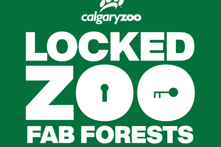 Calgary Zoo Locked Zoo Fab Forests