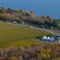 Lake Erie Weekend Getaway: 10 Towns & Communities For an Ontario Summer Vacation