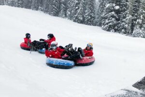 FIS World Snow Days