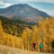 Fall Adventures: Ride Lake Louise Gondola For Golden Larch Hikes and Grizzly Bear Sightings