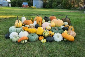 50 Things to Do During Fall in Manitoba