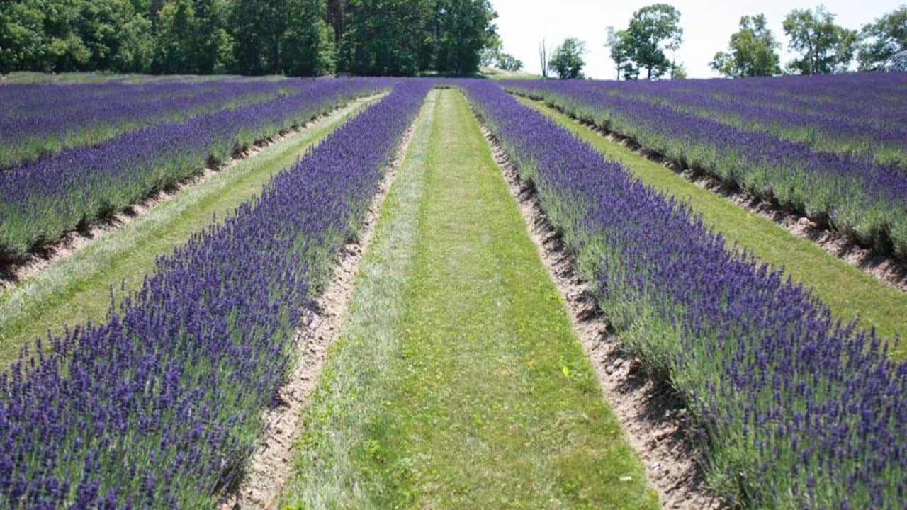 Top 25 Day Trips From Toronto With Friends Or Your Special Someone Top 25 Day Trips From Toronto With Friends Or Your Special Someone