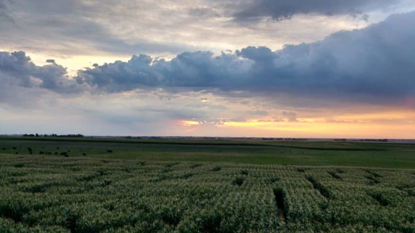 Best Things to Do in Lethbridge
