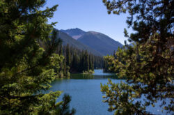 Explore E.C. Manning Park: Wildflowers, Forests, and Rugged Peaks
