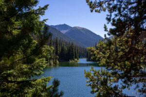 Explore E.C. Manning Park: Wildflowers, Forests, and Rugged Peaks