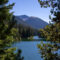 Explore E.C. Manning Park: Wildflowers, Forests, and Rugged Peaks